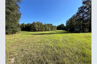 Tbd Cr 1579, Avinger, TX 75630 - Photo 1