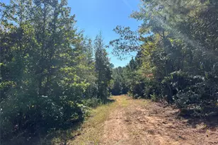 Tbd Cr 1579-1, Avinger, TX 75630 - Photo 4