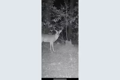 Tbd Cr 1579-1, Avinger, TX 75630 - Photo 10