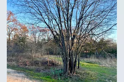 1537 Kays, Hawk Cove, TX 75474 - Photo 6