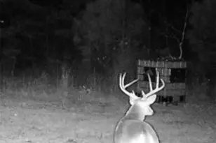 Tbd Cr 1579-2, Avinger, TX 75630 - Photo 14