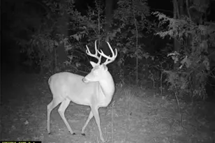 Tbd Cr 1579-2, Avinger, TX 75630 - Photo 8