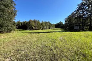 Tbd Cr 1579-2, Avinger, TX 75630 - Photo 6