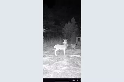 Tbd Cr 1579-2, Avinger, TX 75630 - Photo 12