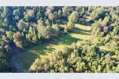 Tbd Cr 1579-2, Avinger, TX 75630 - Photo 2