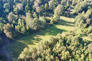 Tbd Cr 1579-2, Avinger, TX 75630 - Photo 2