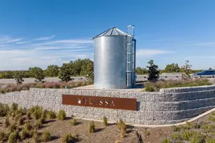 3804 White Summit Ln, Melissa, TX 75454 - Photo 24