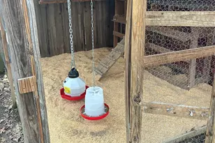 328 Comanche Trail, Quinlan, TX 75474 - Photo 22