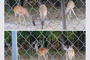 328 Comanche Trail, West Tawakoni, TX 75474 - Photo 32