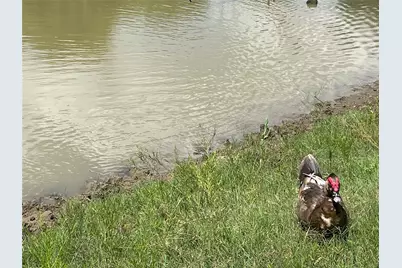 13265 Fm 1385, Pilot Point, TX 76258 - Photo 38