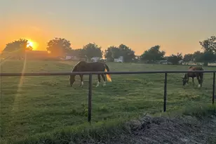 13265 FM1385, Pilot Point, TX 76258 - Photo 26