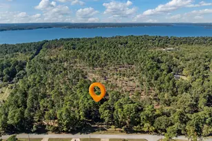 17151 Pintail Dr, Flint, TX 75762 - Photo 10