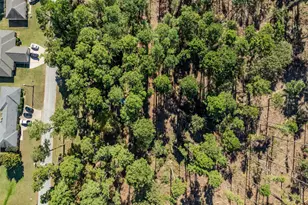 17151 Pintail Dr, Flint, TX 75762 - Photo 20