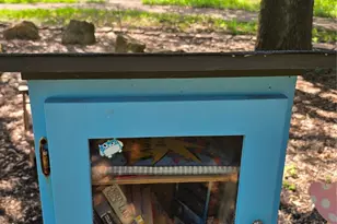 15712 Terrace Lawn Cir, Dallas, TX 75248 - Photo 40