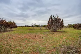 149 FM934, Blum, TX 76627 - Photo 32
