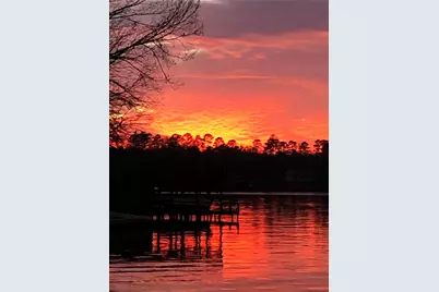 1219 County Road 2415, Leesburg, TX 75451 - Photo 8