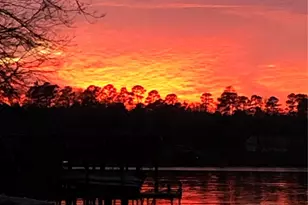 1219 Co Rd 2415, Leesburg, TX 75451 - Photo 8