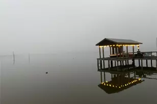 1219 Co Rd 2415, Leesburg, TX 75451 - Photo 2