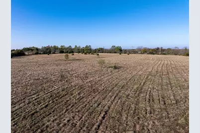 000 County Road 551, Farmersville, TX 75442 - Photo 12