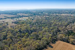 6144 Farm Road 197, Arthur City, TX 75411 - Photo 34