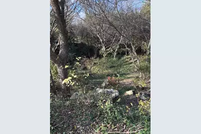 2009 Valley View Drive, Cedar Hill, TX 75104 - Photo 2