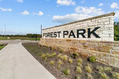 441 Forsyth Drive, Princeton, TX 75407 - Photo 12