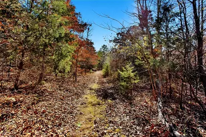 520 County Road 36980, Arthur City, TX 75411 - Photo 28