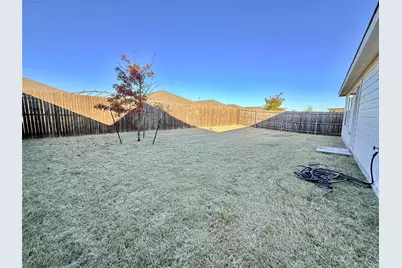 1524 Avery Pointe Drive, Anna, TX 75409 - Photo 20