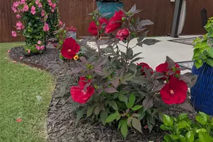 718 Indian Blanket Dr, Midlothian, TX 76065 - Photo 34