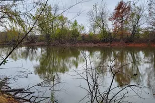 2761 Co Rd 1116, Brashear, TX 75420 - Photo 8