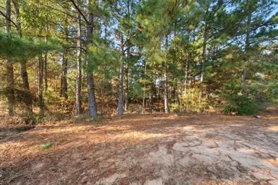 8124 Fm 416, Streetman, TX 75859 - Photo 30