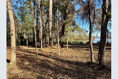 0000 Cr 3202, Chandler, TX 75758 - Photo 8