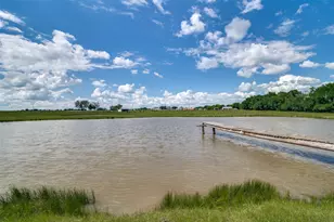 983 State Hwy 78 S, Farmersville, TX 75442 - Photo 1