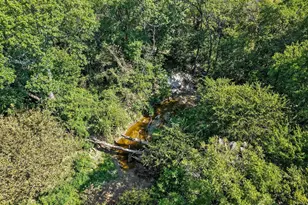 11731 NW State Hwy 11, Whitewright, TX 75491 - Photo 36