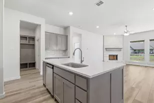 321 Skeen Peak, Springtown, TX 76082 - Photo 8