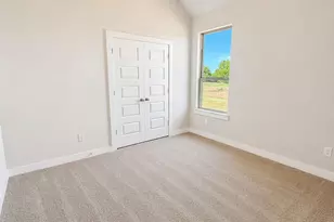 321 Skeen Peak, Springtown, TX 76082 - Photo 18