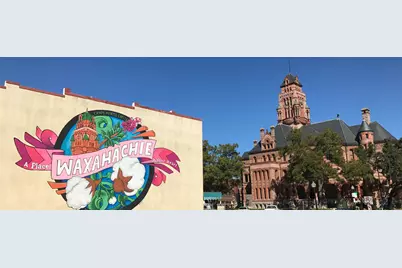 636 Red Maple Road, Waxahachie, TX 75165 - Photo 24