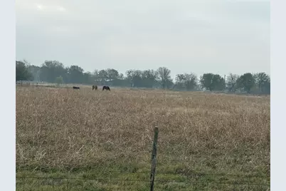 0 Southwick Drive, Palmer, TX 75152 - Photo 6