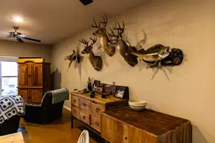 2946 FM 52, Graford, TX 76449 - Photo 8