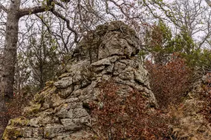 2946 FM 52, Graford, TX 76449 - Photo 26