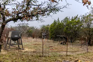 2946 FM 52, Graford, TX 76449 - Photo 28