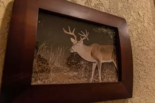 2946 FM 52, Graford, TX 76449 - Photo 34