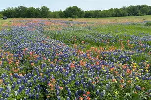00 Fm-660, Ennis, TX 75119 - Photo 1