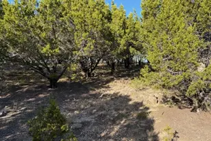 Lot 599 Caprock Ct, Possum Kingdom Lake, TX 76449 - Photo 1
