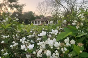 8414 Co Rd 3907, Athens, TX 75752 - Photo 1