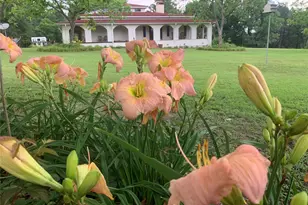 8414 Co Rd 3907, Athens, TX 75752 - Photo 38