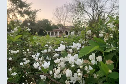 8414 County Road 3907, Athens, TX 75752 - Photo 2