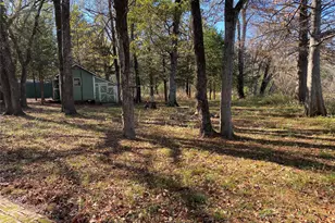 1533 Willow Dr, Wills Point, TX 75169 - Photo 6