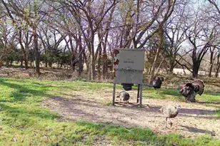 2011 Co Rd 1590, Alvord, TX 76225 - Photo 36