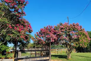 6149 County Rd 1022, Joshua, TX 76058 - Photo 36